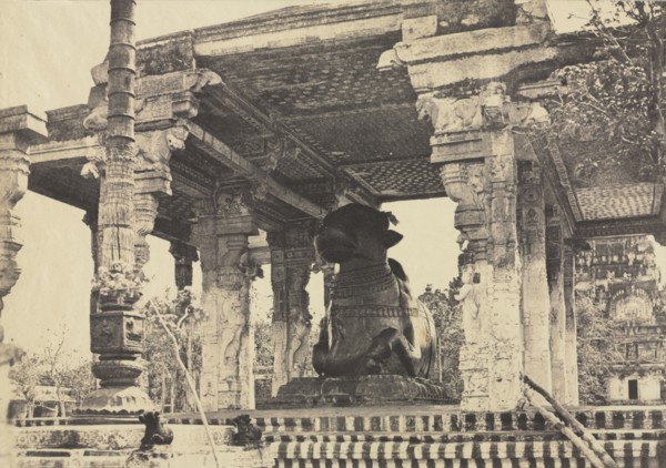 Great Pagoda, Great Bull, Front View, Tanjore, India (Rajarajesvara Temple), 1857. Captain Linnaeus