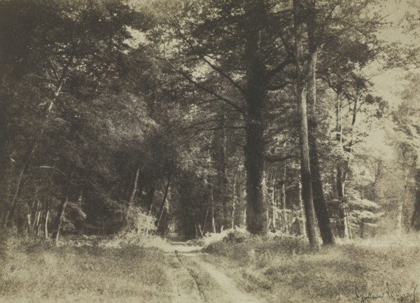 Pathway in the Forest of Fontainbleau, 1849-1852. Gustave Le Gray (French, 1820-1884). Salted paper