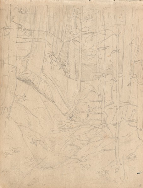 Album with Views of Rome and Surroundings, Landscape Studies, page 01a: Roman Landscape. Franz