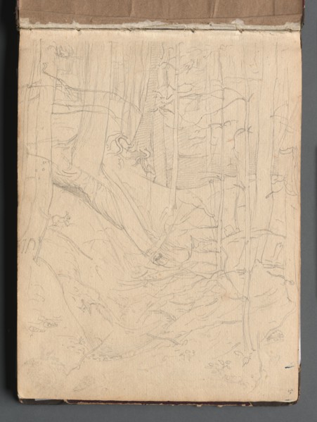 Album with Views of Rome and Surroundings, Landscape Studies, page 01a: Roman Landscape. Franz