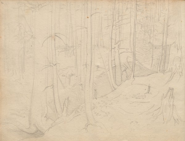 Album with Views of Rome and Surroundings, Landscape Studies, page 01b: Roman Landscape. Franz