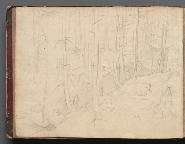 Album with Views of Rome and Surroundings, Landscape Studies, page 01b: Roman Landscape. Franz