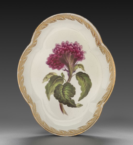 Quatrelobed Dish from Dessert Service: Coxcomb, c. 1800. Derby (Crown Derby Period) (British).