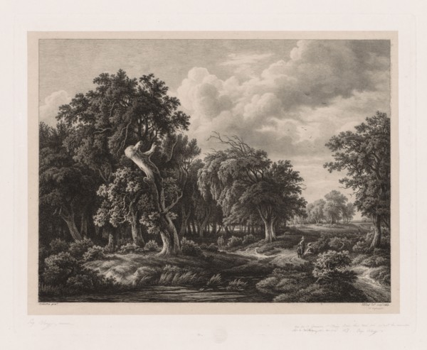 Groups of Various Plants Drawn After Nature:  No. 7, 1855. Eugene Bléry (French, 1805-1886), after