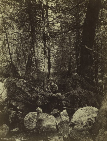 The Trail in West Gallatin Cañon, c. 1870s. William Henry Jackson (American, 1843-1942). Albumen