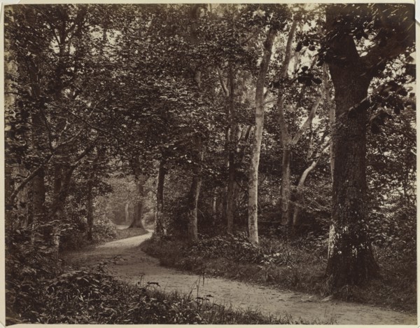 Untitled (Landscape), early 1860s. Unidentified Photographer. Albumen print from wet collodion