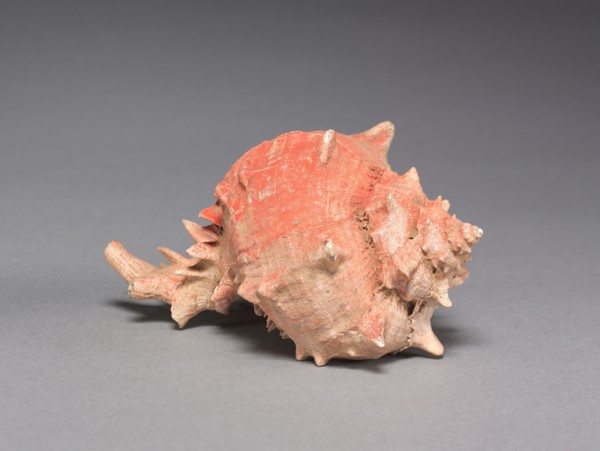 Offering Group: Large Shell, c. 800-1200(?). Mexico, Guerrero(?), San Jerónimo de Juárez,
