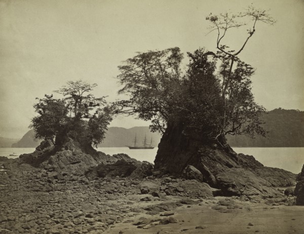 Islands in Limón Bay, 1871. John Moran (American, 1829-1902). Albumen print from wet collodion