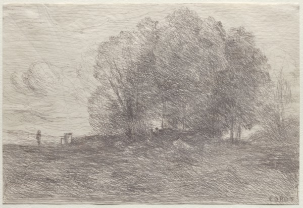 Group of Trees, 1858. Jean Baptiste Camille Corot (French, 1796-1875). Cliché-verre; sheet: 15.5 x