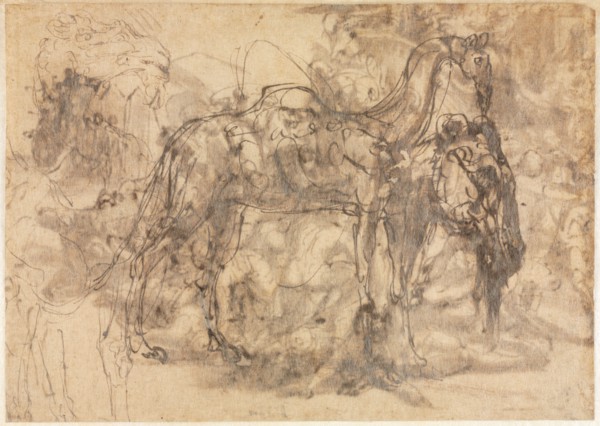 Sketches of Animals (verso), c. 1545/47. Perino del Vaga (Italian, 1500/01-1547). Pen and brown ink