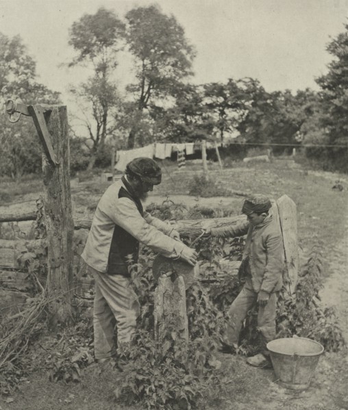 Pictures of East Anglian Life, pl. XXX: At the Grindstone--A Suffolk Farmyard, 1888. Peter Henry