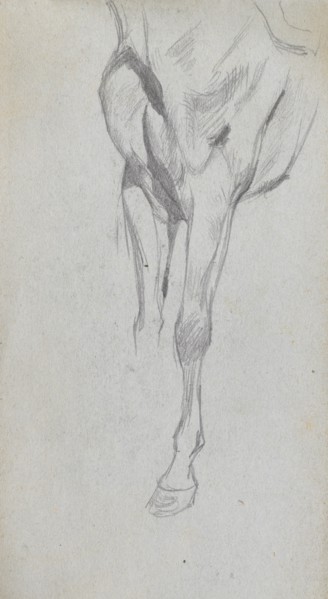Sketchbook, page 48: Study of A Horse. Ernest Meissonier (French, 1815-1891). Graphite
