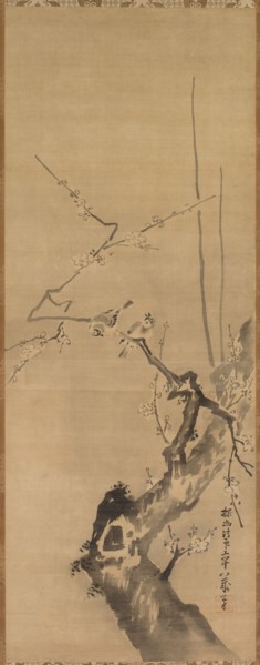 Sparrows on Blossoming Plum, 17th century. Attributed to Kano Tan’yu (Japanese, 1602-1674). Hanging