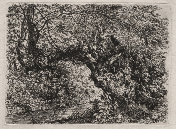 The Old Willow at a Brook, 1794. Georg von Dillis (German, 1759-1841). Etching