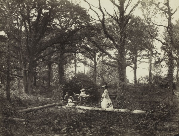Landscape, 1856. Henry White (British, 1819-1903). Albumen print from wet collodion negative;