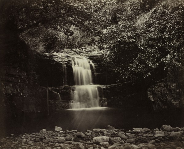 The Photographic Album for the Year 1855, Being Contributions from the Members & the Photographic