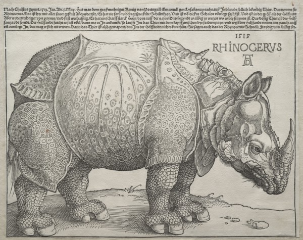 The Rhinoceros, 1515. Albrecht Dürer (German, 1471-1528). Woodcut; image: 23.8 x 30.1 cm (9 3/8 x