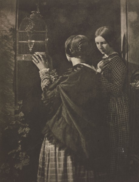 Camera Work: The Bird-Cage, 1909. David Octavius Hill (British, 1802-1870), and Robert Adamson