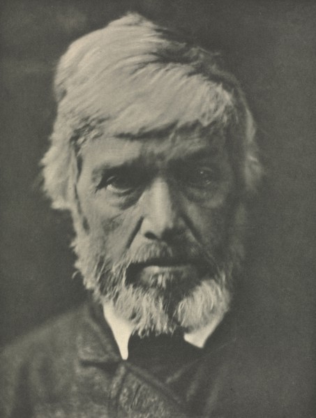 Camera Work: Carlyle, 1913. Julia Margaret Cameron (British, 1815-1879). Photogravure
