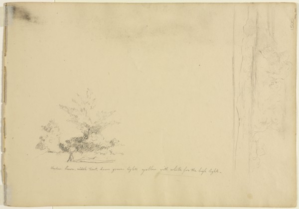 Landscape and Tree Studies (verso), c. 1851. David Johnson (American, 1827-1908). Graphite; sheet: