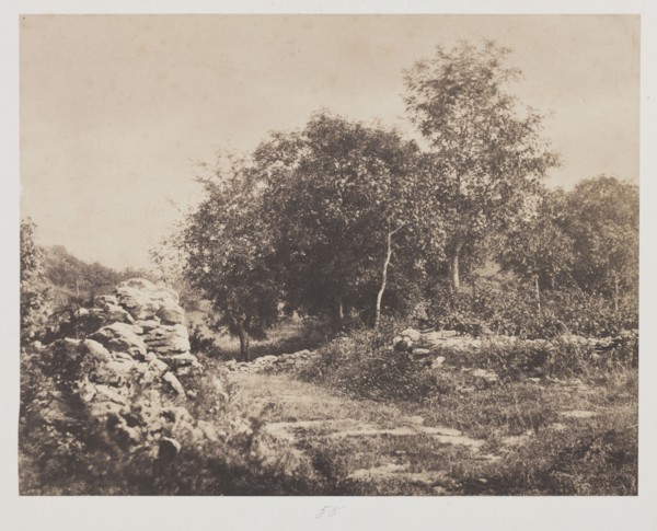 Untitled (Scene of Fontainbleau), c. 1853. André Giroux (French, 1801-1879). Salted paper print