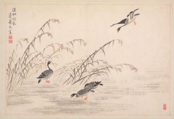 Album of Calligraphy and Paintings, 18th Century. Bian Shoumin (Chinese, 1684-1752). Album leaf;