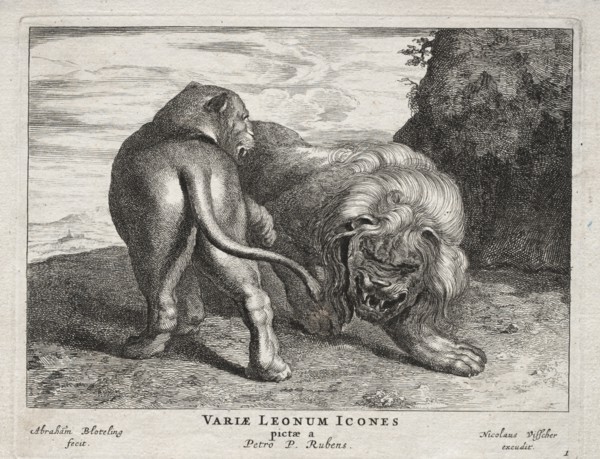 Various Lions. Abraham Blooteling (Dutch, 1640-1690), after Peter Paul Rubens (Flemish, 1577-1640).