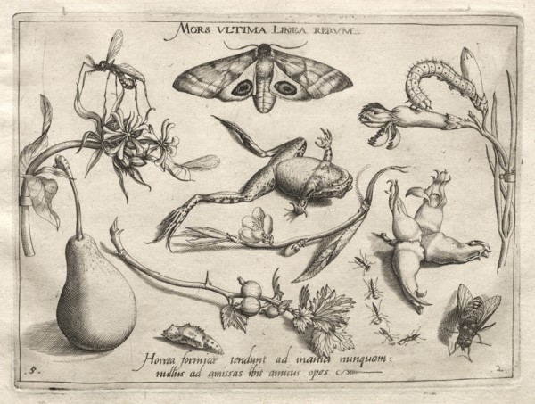 Archetypes and Studies: Death is the line that marks the end of all (Part II, plate 5), 1592. Joris