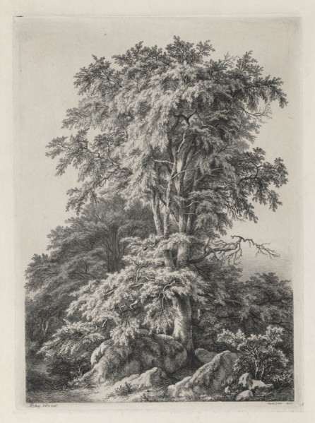 Studies Drawn and Engraved after Nature: The Beach, Fontainbleau (Études dessinées et Gravées