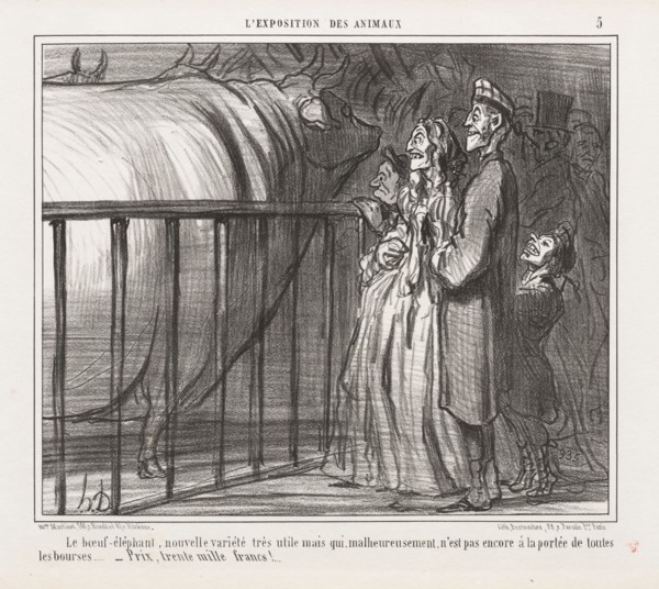 Exposition of Animals : Pl. 5, The Cow-Elephant, New Variety (L'Exposition des Animaux: Pl. 5, Le