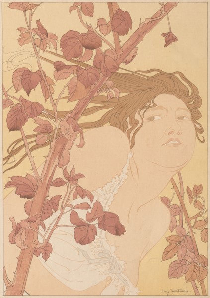 Published in L'Estampe Moderne, no. 12, April 1898: In the Brambles , 1898. Henri Detouche (French,