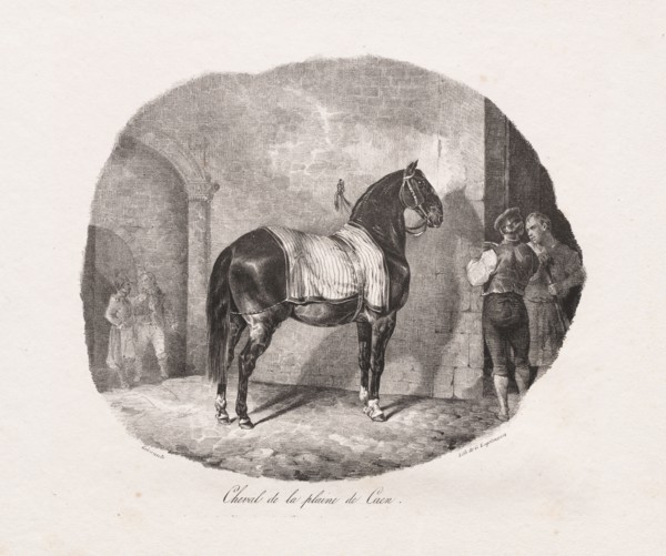 Lithographed Studies of Horses: Pl. 7, Horse from the Caen Plain , 1822. Théodore Géricault