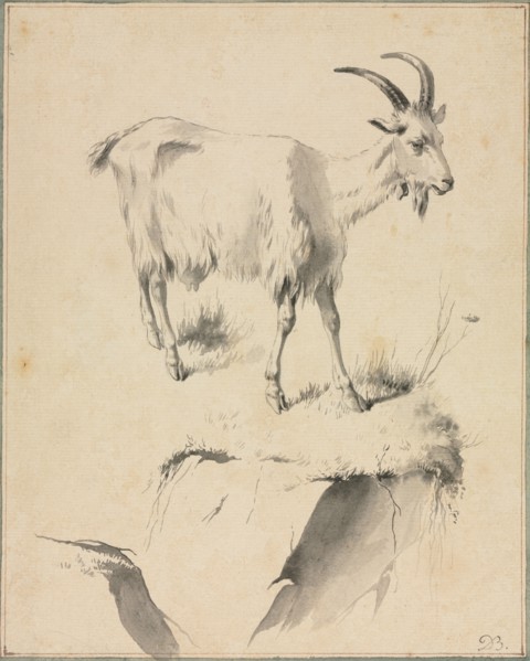 Study of a Goat, 1700s. Jean Jacques de Boissieu (French, 1736-1810). Black ink and gray ink wash