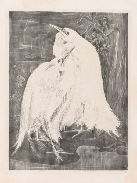 Animal Studies: Two Silver Herons, 1898. Theo van Hoytema (Dutch, 1863-1917). Embossed lithograph;