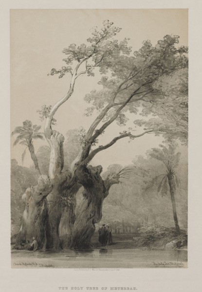 Egypt and Nubia, Volume III: The Holy Tree of Metereah, 1849. Louis Haghe (British, 1806-1885), F.G