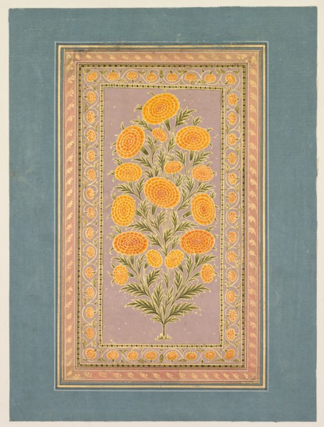 Flowering Marigold, c. 1765. Style of Hunhar II (Indian, active mid-1700s). Opaque watercolor with