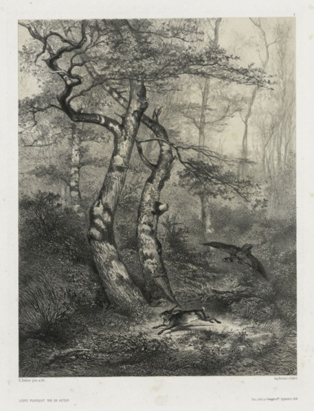 Hare Pursued by a Goshawk, 1858. Karl Bodmer (Swiss, 1809-1893), Goupil & Co., Paris. Lithograph on