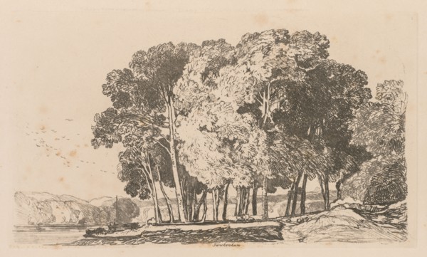 Liber Studiorum: Plate 3, Trees near Twickenham, 1838. John Sell Cotman (British, 1782-1842).