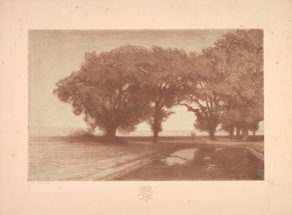 Suite de Paysages: Landscape, Plate 8, Remarque, Pansies, 1892-1893. Charles Marie Dulac (French,