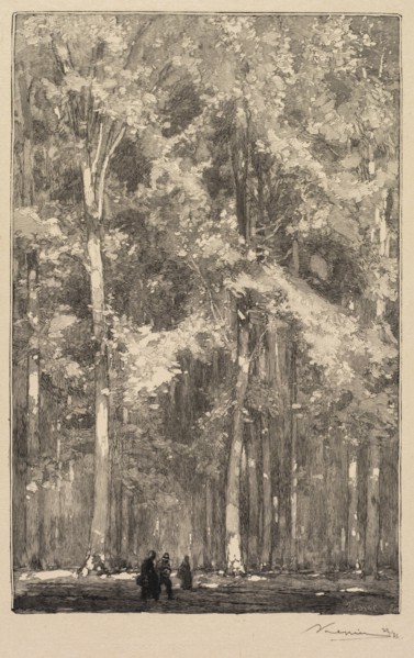 Fontainebleau Forest: Morning, Crossroads of the Route of the Forts de Marlotte (La Forêt de