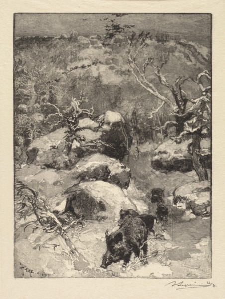 Fontainebleau Forest: Cuvier-Châtillon Cliff (La Forêt de Fontainebleau: Roche Cuvier-Châtillon),