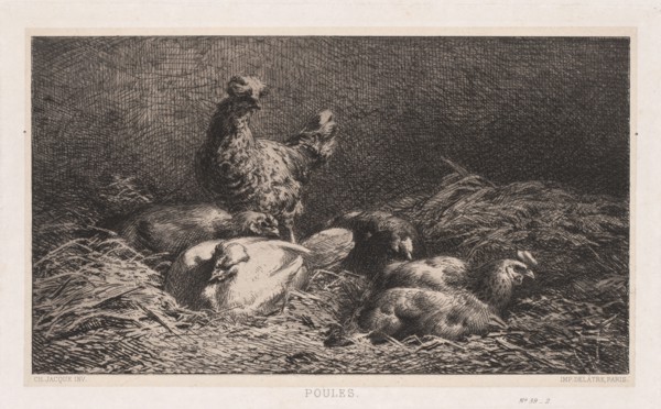 Chickens (Poutes), 1867. Charles-Émile Jacque (French, 1813-1894). Etching on chine collé