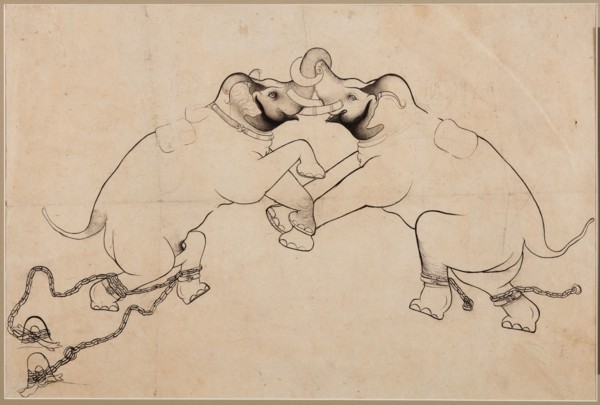 Two Elephants in Combat, early 1700s. Northwestern India, Rajasthan, Kota. page: 35.6 x 53.4 cm (14