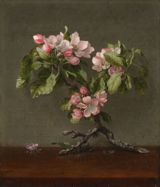 Apple Blossoms, 1873. Martin Johnson Heade (American, 1819-1904). Oil on canvas; unframed: 35.8 x