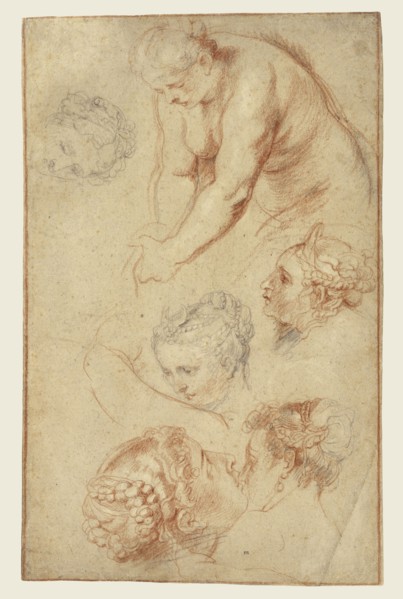 Studies of Women; Peter Paul Rubens, Flemish, 1577 - 1640, 1628; Black, red, and white chalk, lower right corner replaced