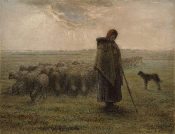Shepherdess and Her Flock; Jean-François Millet, French, 1814 - 1875, 1862 - 1863; Black chalk and pastel; 36.4 × 47.5 cm