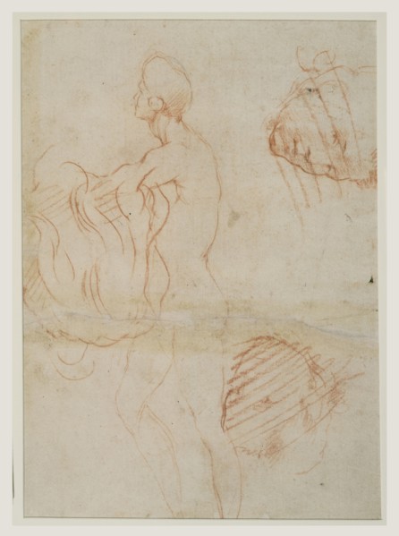 Study of a Kneeling Figure with a Sketch of a Face, recto, Figure Study and Face, verso, Andrea del Sarto, Italian, 1486
