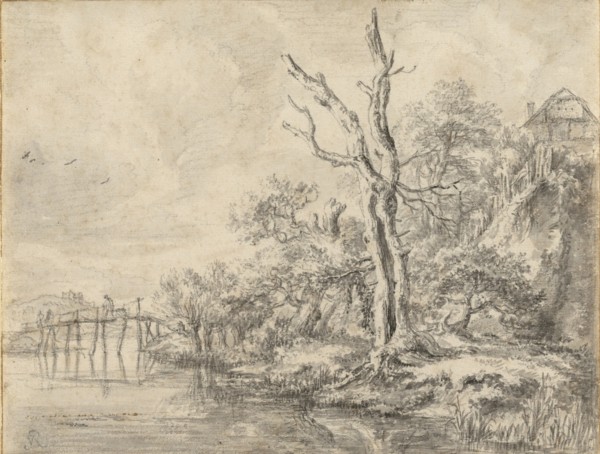 Dead Tree by a Stream at the Foot of a Hill; Jacob van Ruisdael, Dutch, 1628,1629 - 1682, about 1650 - 1660; Black chalk, point