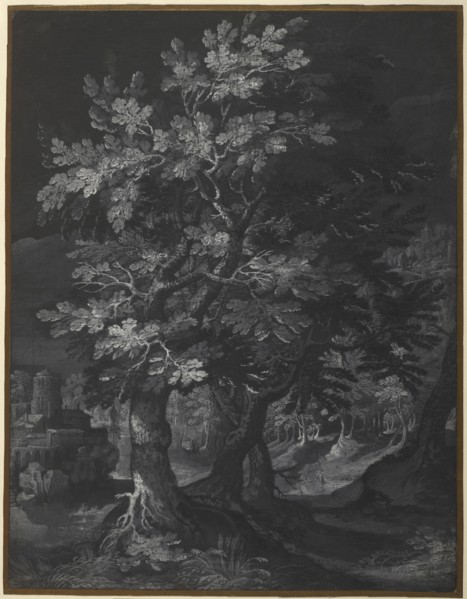 Forest Scene; Circle of Gillis van Coninxloo, Flemish, 1544 - 1607, about 1595 - 1610; Brush and gray and white gouache