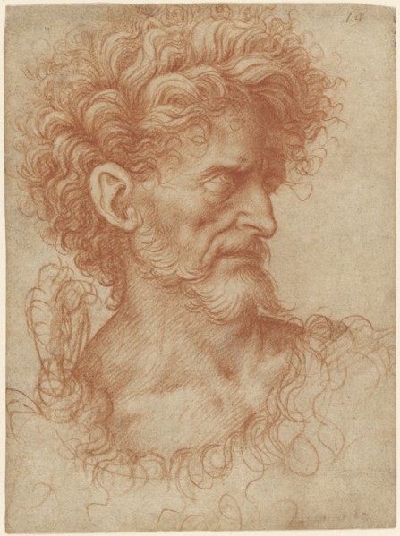 Saint John the Baptist; Giovanni Agostino da Lodi, Italian, active about 1467 - 1525, about 1500; Red chalk; 14.5 x 10.8 cm